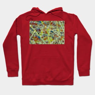 Colorful Raindrops On Grass Abstract Hoodie